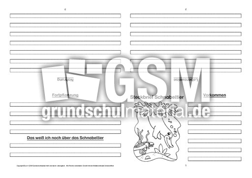 Schnabeltier-Faltbuch-vierseitig-2.pdf